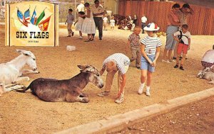 Animal Kingdom Six Flags Over Texas Dallas Ft Worth Petting Zoo c1960s Postcard