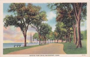 Seaside Park Drive - Bridgeport CT, Connecticut - Linen