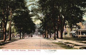 Danbury CT-Connecticut, 1908 Deer Hill Avenue Tree Lined Vintage Postcard