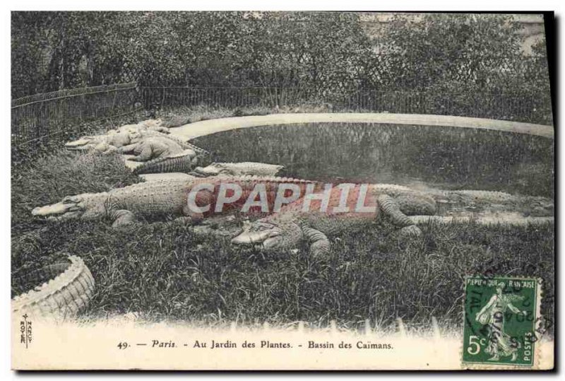 Old Postcard Paris Zoo Garden plants Basin caimans Caiman Crocodile