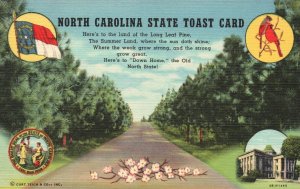 Vintage Postcard 1930s North Carolina Toast Card Tar Heel State Dogwood Cardinal