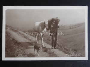 Cumbria A LAKELAND SHEPHERD & DOG, CARRIES SHEEP The Cast Shoe Old RP Postcard