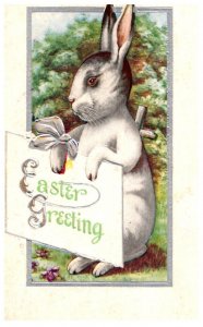 Easter White Rabbit holding sign