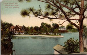 Florida Tarpon Springs Glimpse Of The Bayou
