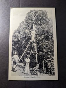 Mint British Zanzibar RPPC Postcard Clove Picking