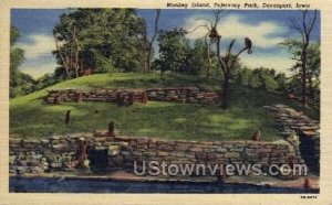 Monkey Island, Ferjervary Park - Davenport, Iowa IA