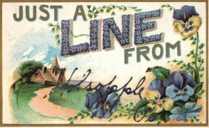 Vintage Postcard 1910'S Just A Line From Holsopple Georgia Landscape Flowers