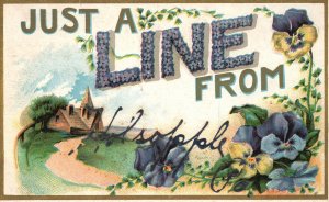 Vintage Postcard 1910'S Just A Line From Holsopple Georgia Landscape Flowers