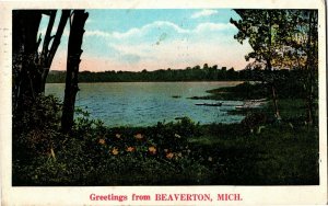 Scenic View, Greetings from Beaverton MI Vintage Postcard C69