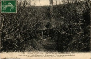 CPA Environs de Landerneau - Bois de la Grande-Palud (1033492)