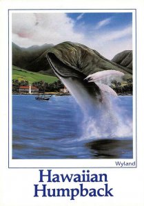 HAWAIIAN HUMPBACK Wyland Painting Whale Continental c1980s Vintage Postcard