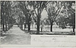 Boston Common and Frog Pond Boston MA Mass. c1906 Vintage Postcard D21