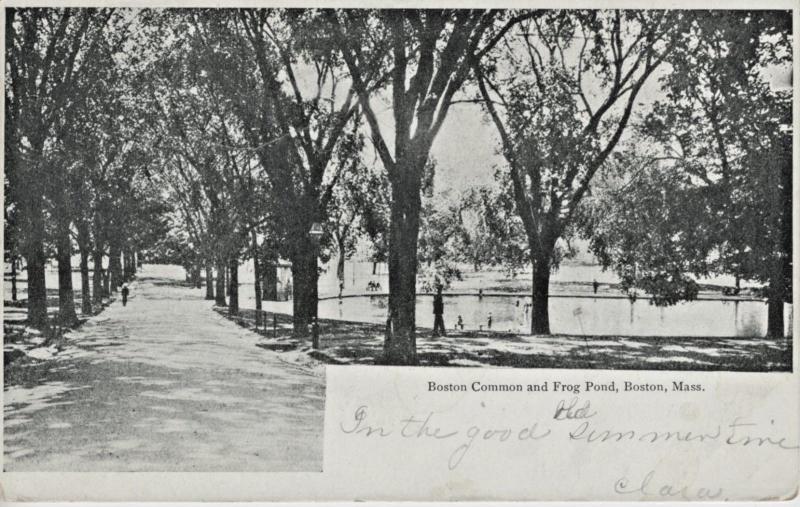 Boston Common and Frog Pond Boston MA Mass. c1906 Vintage Postcard D21