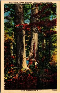 Vtg Robbinsville North Carolina NC Joyce Kilmer Memorial Forest 1930s Postcard