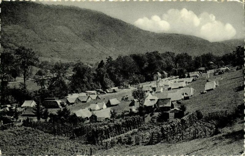 luxemburg, ECHTERNACH, Camping Pare (1950s) Postcard