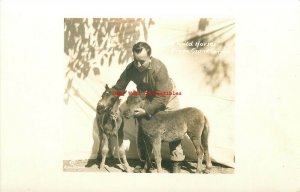 AZ, Grand Canyon, Arizona, Wild Horses, RPPC