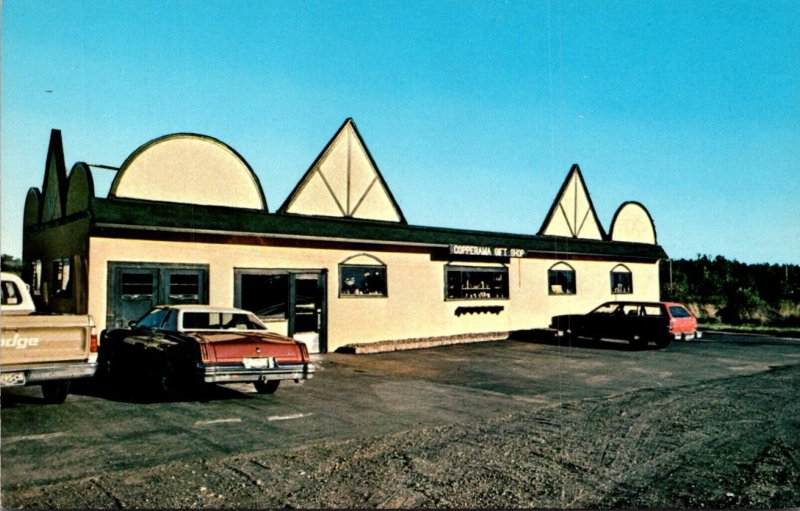 Roadside Paulson's Old Museum & Gift Shop Calumet Michigan