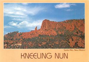 Kneeling Nun - Santa Rita, New Mexico