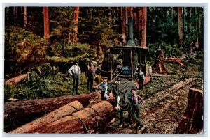 c1950 Logging Big Tree Grove Pulling Machine Horse Dirt Road Olympia WA Postcard 