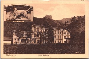Germany Thale Hotel Waldkater Vintage Postcard 02.97