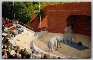 San Diego California~Performing Elephants @ The Zoo~EC Kropp Vtg Linen Postcard