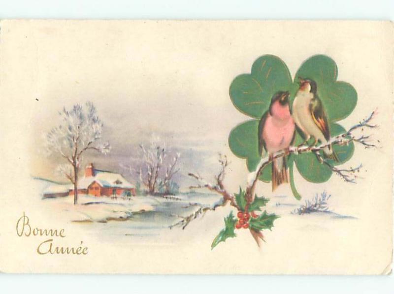 foreign Old Postcard BIRDS ON BRANCH WITH FOUR LEAF CLOVER SHAMROCK AC3454