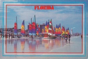 Sailboats Vivid Sails On A Pearl White Beach In Florida