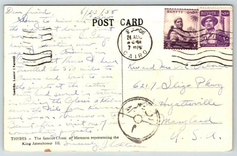 RPPC  1955  Thebes  Egypt  The Famous Clossi  Postcard