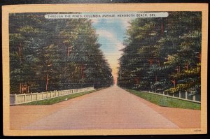 Vintage Postcard 1930-1945 Columbia Avenue, The Pines, Rehoboth Beach, DE