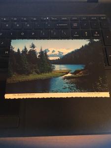 Vintage Postcard: Mendenhall Glacier Alaska