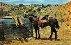 Just Pausin' Fer Refreshin' Cowboy & Horse Western c1950s Vintage Postcard