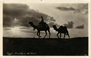 CPA Lehnert & Landrock 128 Eventide in the Desert EGYPT (917444)