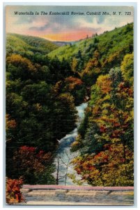 c1930's Waterfalls In The Kaaterskill Ravine Catskill Mts. New York NY Postcard 