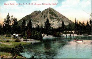 Vtg Black Butte Southern Pacific Railroad on Oregon California Route Postcard