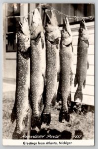 RPPC Fish Northern Pike Atlanta Michigan Greetings Postcard W25