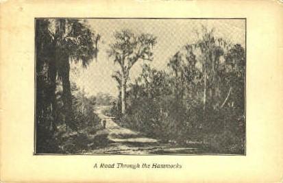 The Hammocks Tampa FL 1911