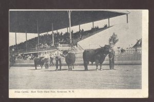 SYRACUSE NY NEW YORK STATE FAIR CATTLE SHOW WINNER VINTAGE POSTCARD 1906