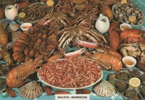 Galicia Mariscos Spanish Fish Seafood Restaurant Postcard