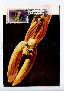 422228 ROMANIA 1990 year flowers orchid maximum card