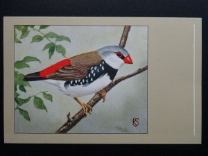 Bird Theme DIAMOND SPARROW c1950s Postcard by P. Sluis / Series 1 No.8