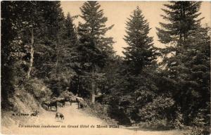 CPA MONT-PILAT - Un-sous-BOIS conduisant au Grand Hotel du MONT-PILAT (487305)