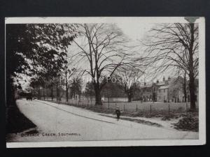 Nottinghamshire: Southwell Burgage Green - Old Postcard by G. Padgett