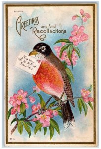 c1910's Recollections Greetings Bird Letter Flowers Nash Embossed Postcard