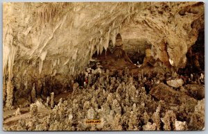 Vtg New Mexico NM Fairyland Carlsbad Caverns National Park 1950s View Postcard