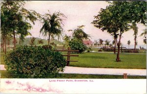 Postcard PARK SCENE Evanston Illinois IL AM3193