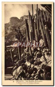 Old Postcard Monaco Exotic Gardens Echinocactus And Cereus Miscellaneous