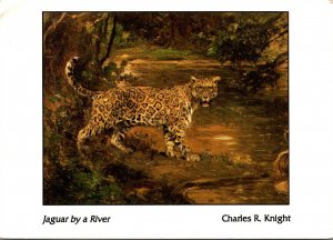 Jaguar By A River By Charles R Knight