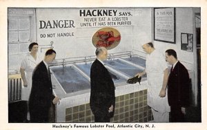 Hackney's Famous Lobster Pool Atlantic City, New Jersey Postcard