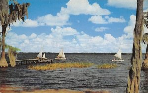 boats scudding over blue Florida water