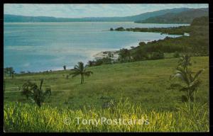 A view from Round Hill Hotel, Jamaica, W.I